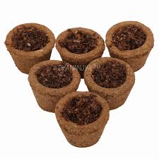 Sambrani Hawan Cups Made with Cow Dung (30 Hawan Cups)