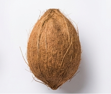 Naral / Coconut - Gallery